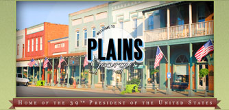 City of Plains